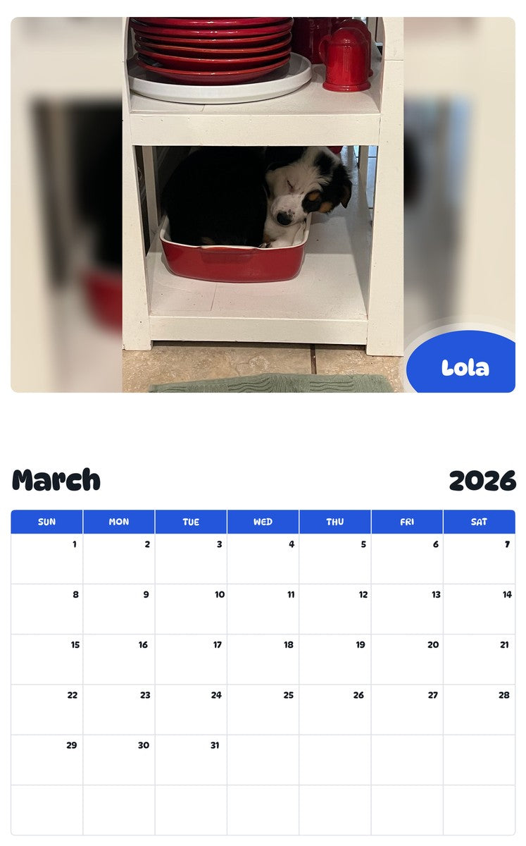 November 2025 - October 2026 Lola - Pawidols Pet Calendar