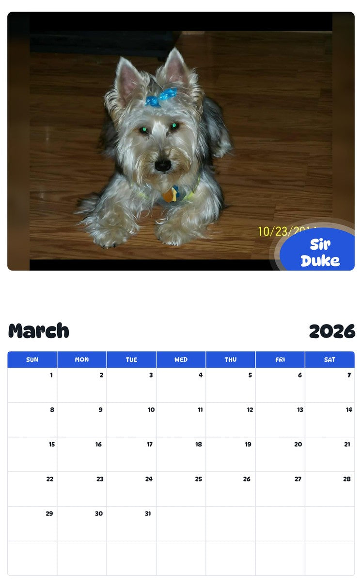 November 2025 - October 2026 Sir Duke - Pawidols Pet Calendar