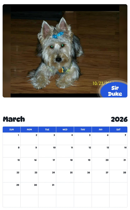 November 2025 - October 2026 Sir Duke - Pawidols Pet Calendar