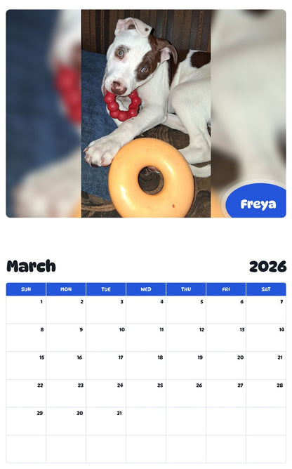November 2025 - October 2026 Freya - Pawidols Pet Calendar