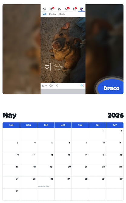 2026 - 2027 Draco - Pawidols Pet Calendar