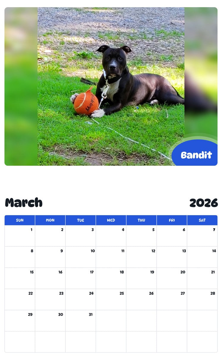 November 2025 - October 2026 Bandit - Pawidols Pet Calendar