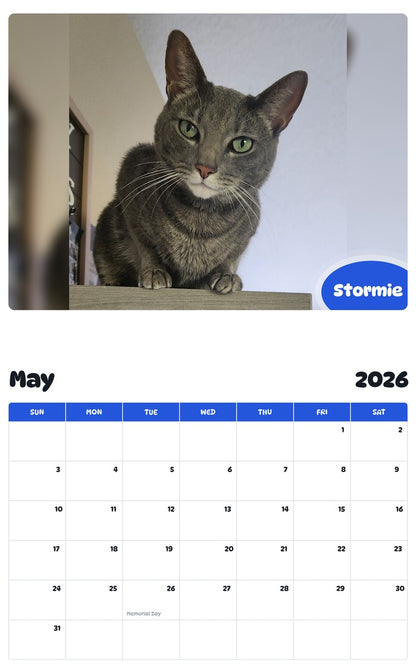 2026 - 2027 Stormie - Pawidols Pet Calendar