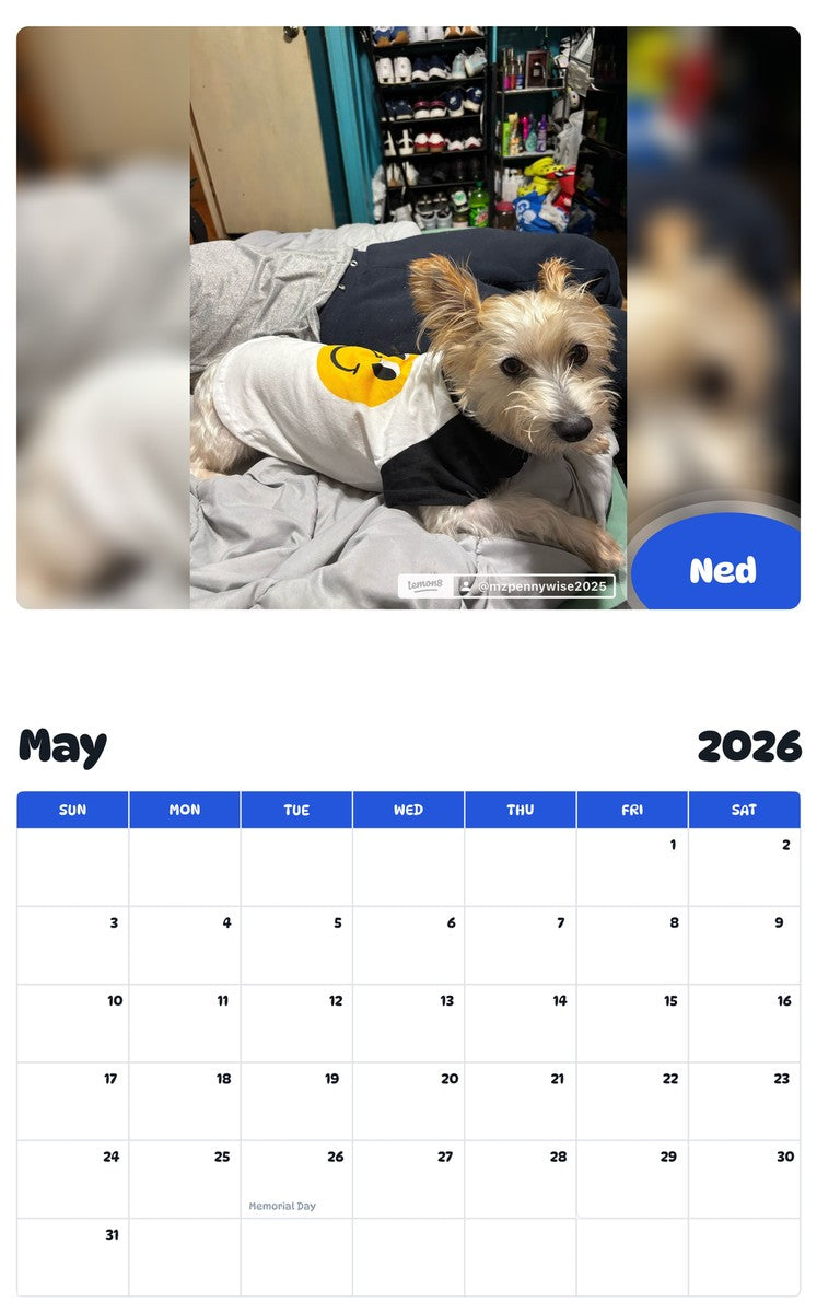 2026 - 2027 Ned - Pawidols Pet Calendar