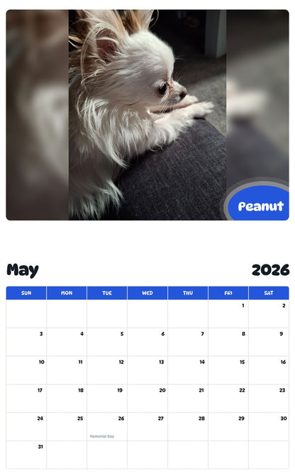 2026 - 2027 Peanut - Pawidols Pet Calendar