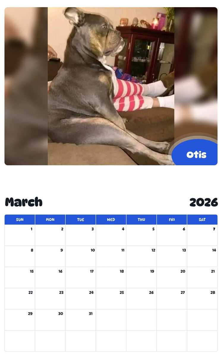 November 2025 - October 2026 Otis - Pawidols Pet Calendar