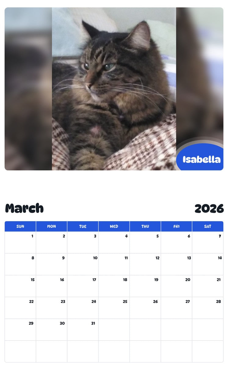 November 2025 - October 2026 Isabella - Pawidols Pet Calendar