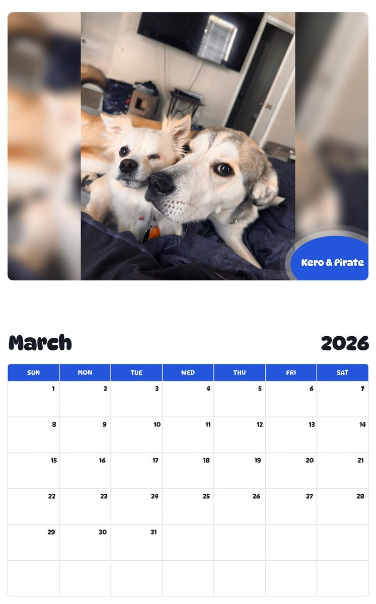 November 2025 - October 2026 Kero & Pirate - Pawidols Pet Calendar