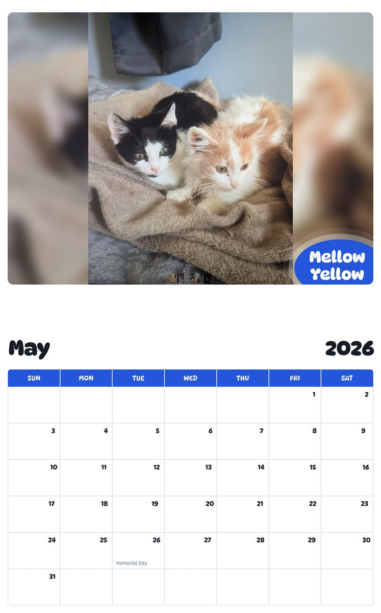 2026 - 2027 Mellow Yellow - Pawidols Pet Calendar