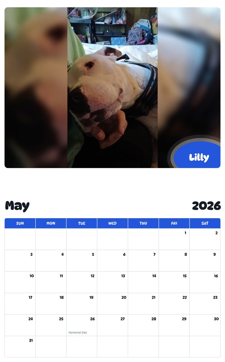 2026 - 2027 Lilly - Pawidols Pet Calendar