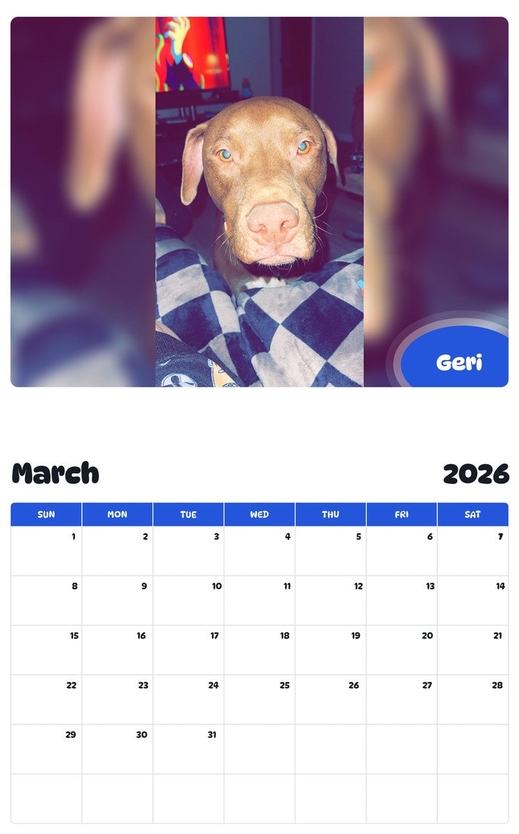 November 2025 - October 2026 Geri - Pawidols Pet Calendar