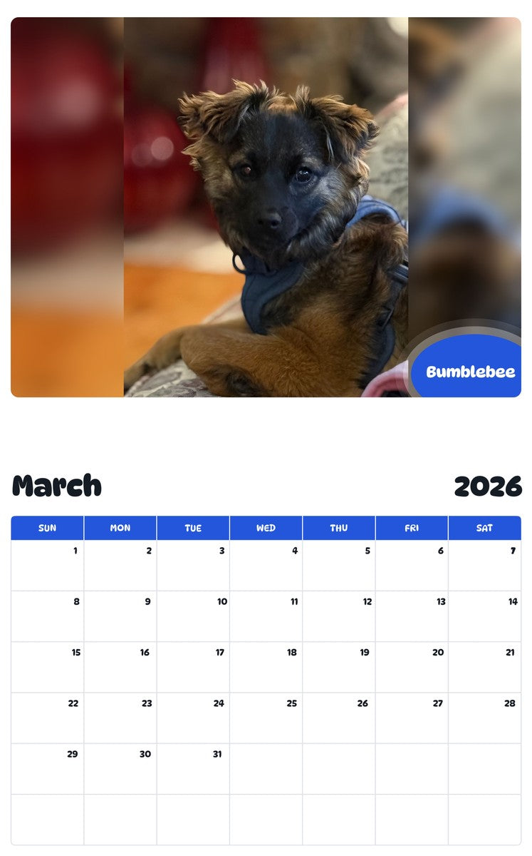 November 2025 - October 2026 Bumblebee - Pawidols Pet Calendar