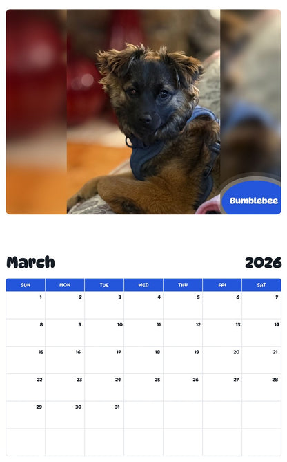 November 2025 - October 2026 Bumblebee - Pawidols Pet Calendar