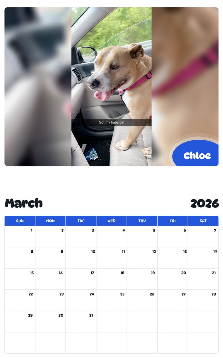 November 2025 - October 2026 Chloe - Pawidols Pet Calendar
