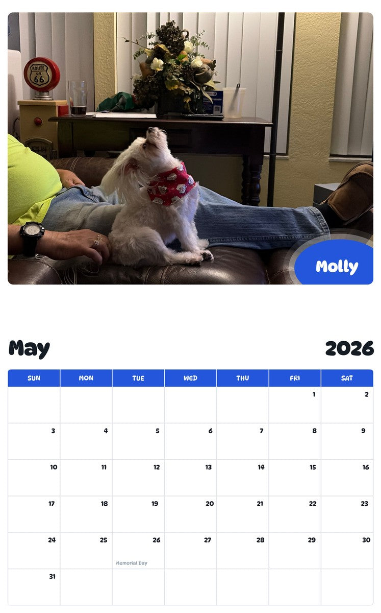 2026 - 2027 Molly - Pawidols Pet Calendar