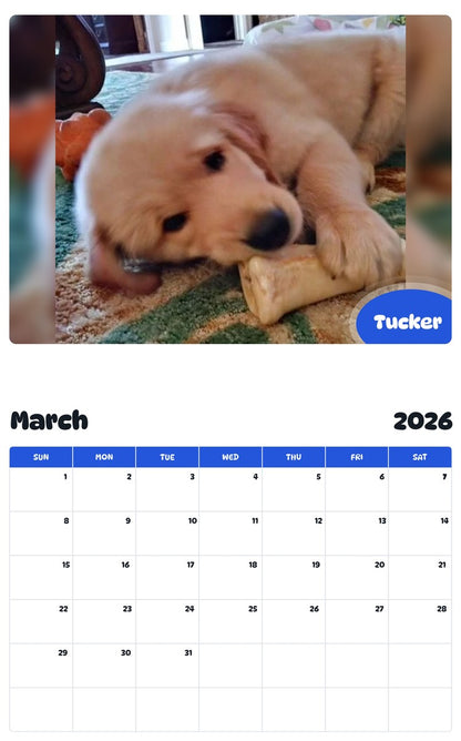 November 2025 - October 2026 Tucker - Pawidols Pet Calendar