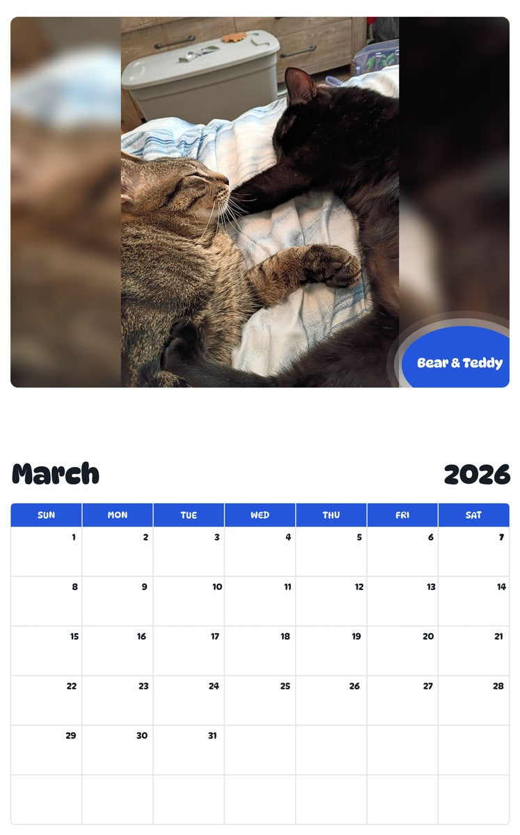 November 2025 - October 2026 Bear & Teddy - Pawidols Pet Calendar