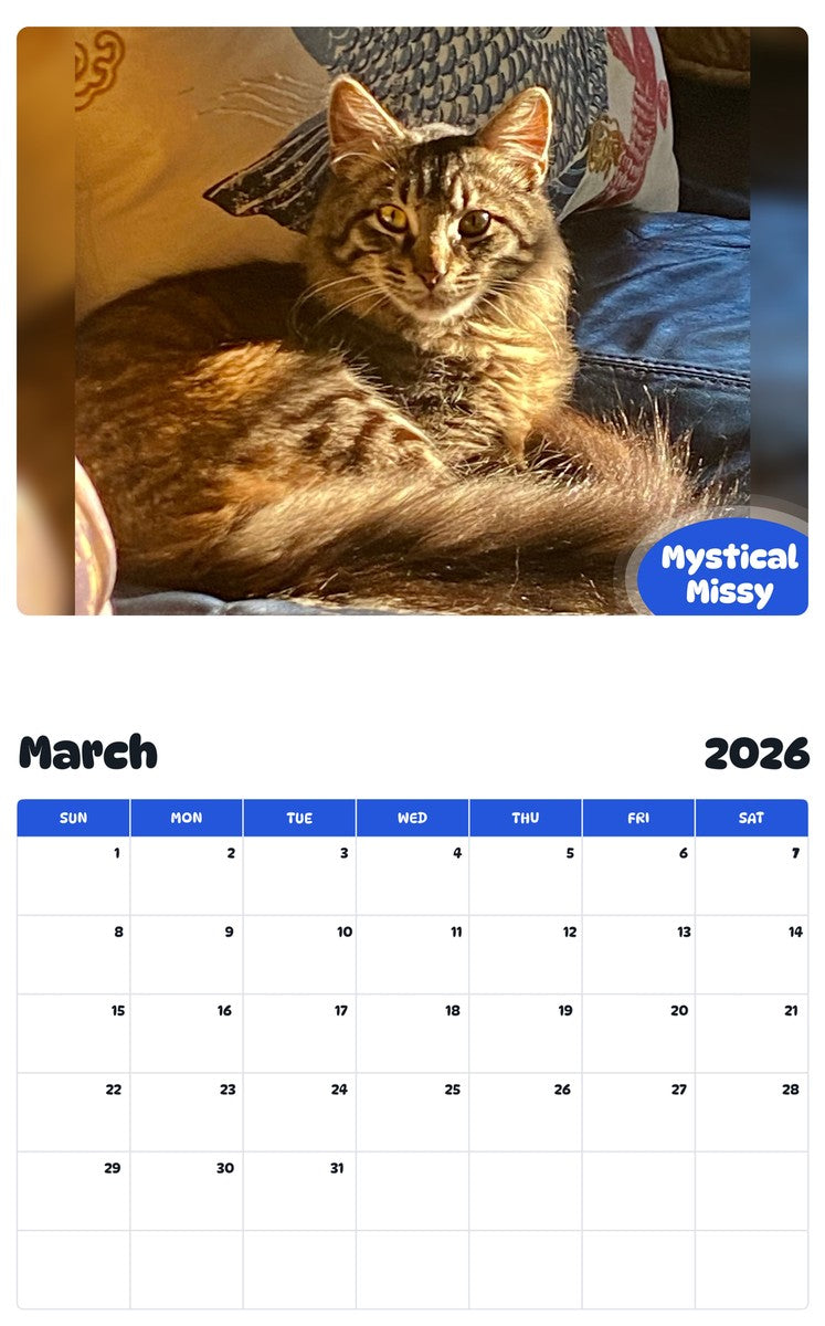 November 2025 - October 2026 Mystical  Missy - Pawidols Pet Calendar