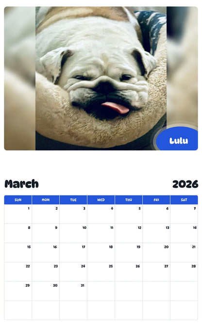 November 2025 - October 2026 Lulu - Pawidols Pet Calendar
