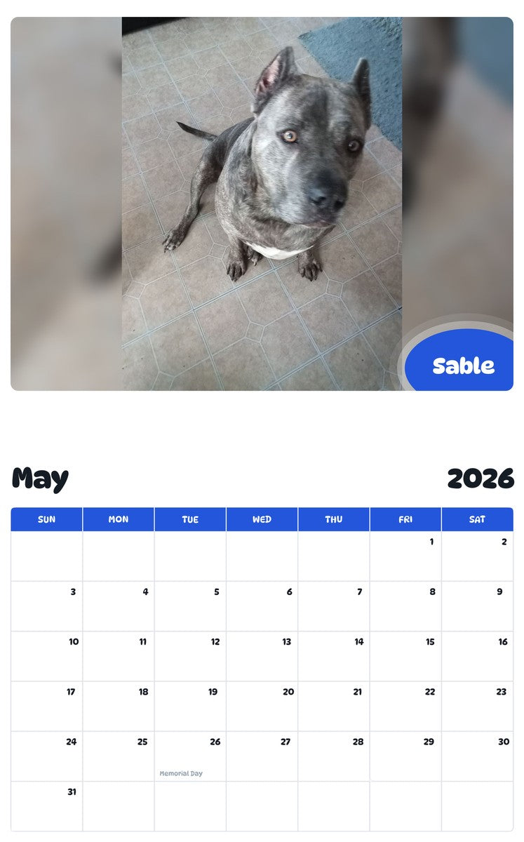 2026 - 2027 Sable - Pawidols Pet Calendar