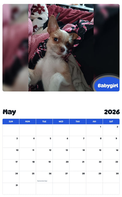 2026 - 2027 Babygirl - Pawidols Pet Calendar