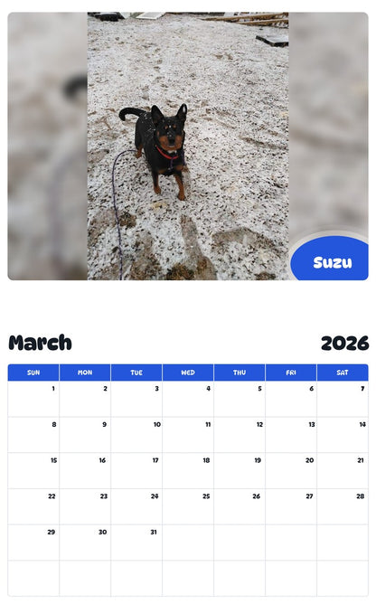 November 2025 - October 2026 Suzu - Pawidols Pet Calendar