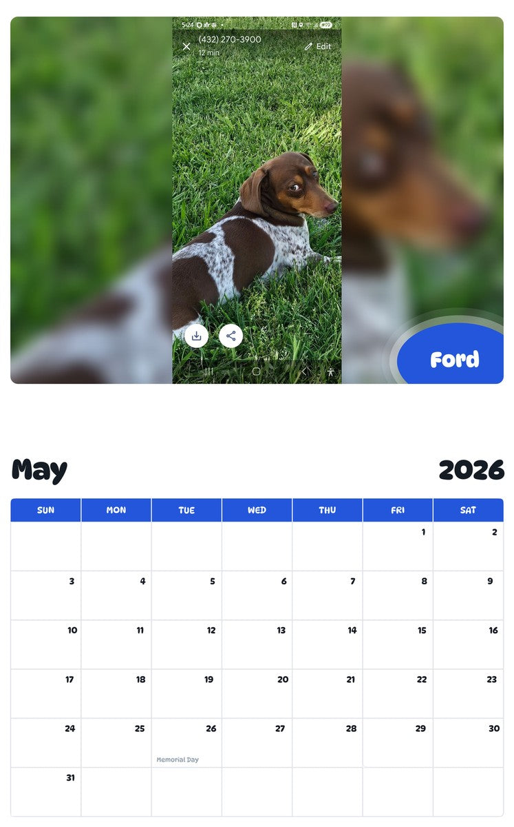 2026 - 2027 Ford - Pawidols Pet Calendar