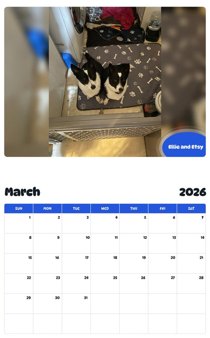November 2025 - October 2026 Ellie and Etsy - Pawidols Pet Calendar