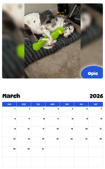 November 2025 - October 2026 Opie - Pawidols Pet Calendar