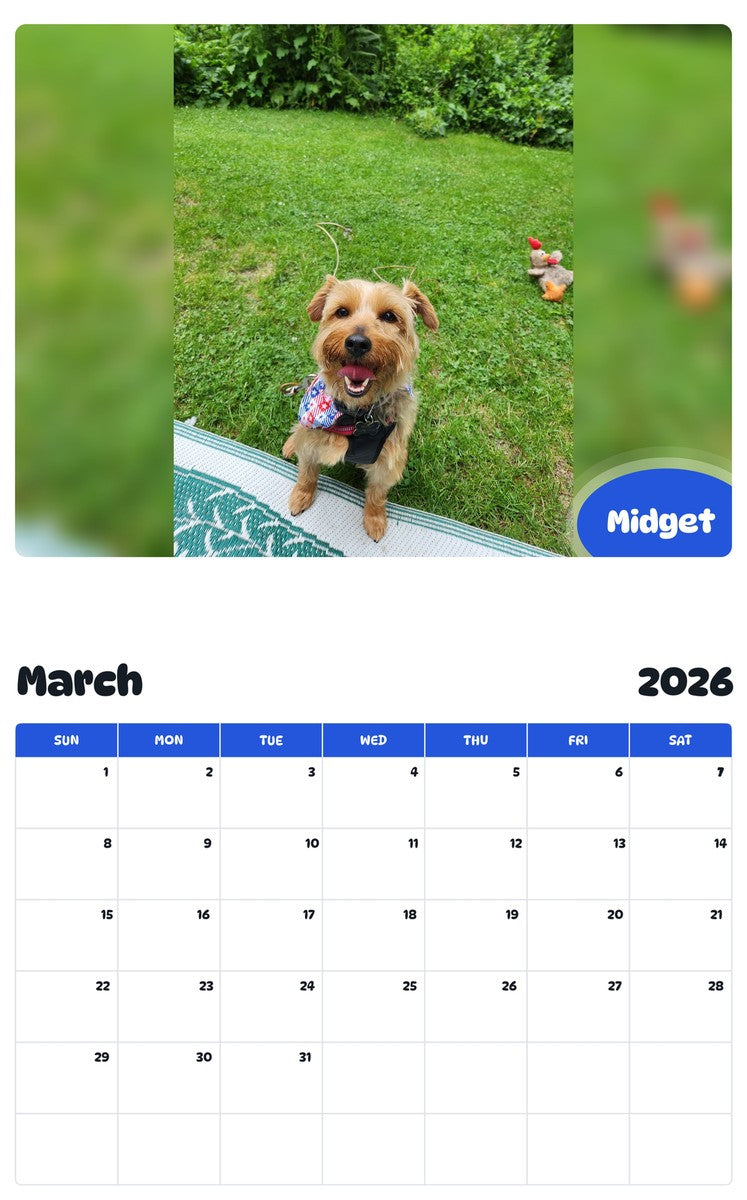 November 2025 - October 2026 Midget - Pawidols Pet Calendar