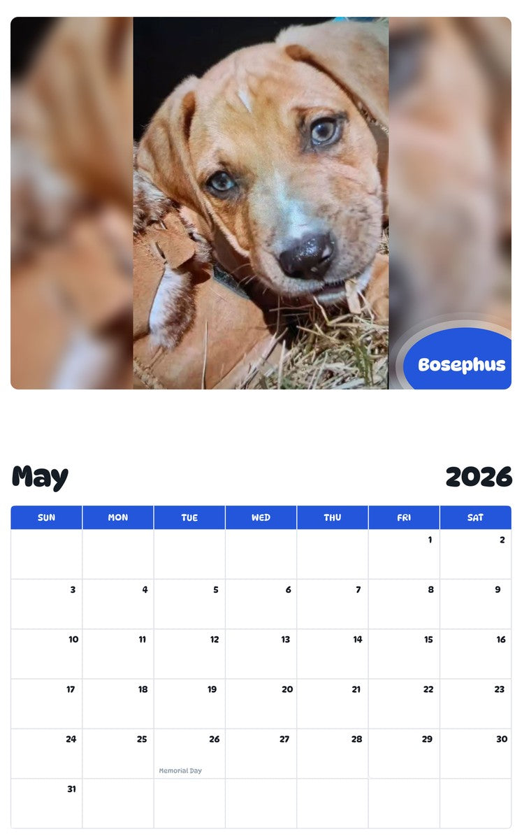 2026 - 2027 Bosephus - Pawidols Pet Calendar