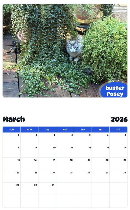 November 2025 - October 2026 buster Posey - Pawidols Pet Calendar