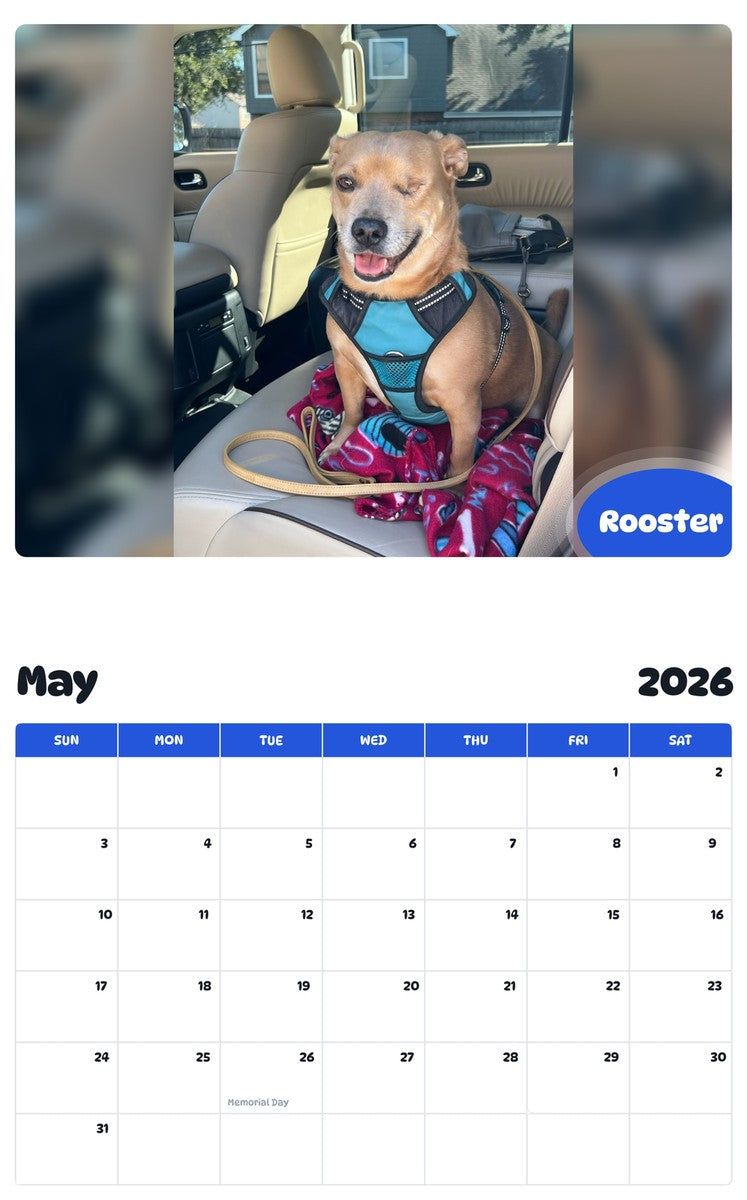 2026 - 2027 Rooster - Pawidols Pet Calendar