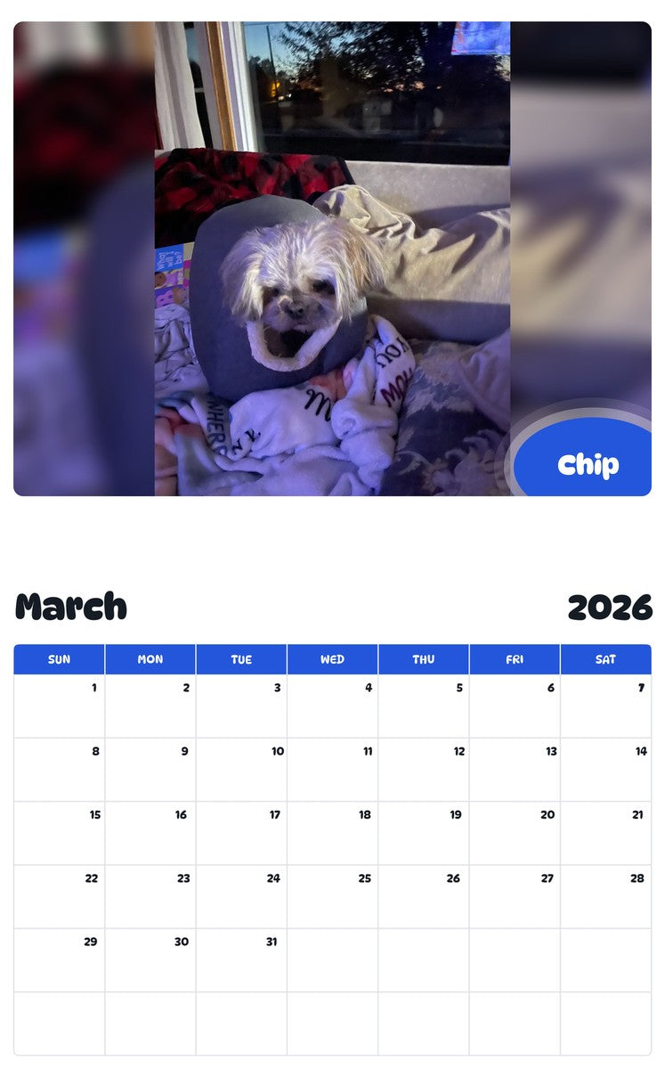 November 2025 - October 2026 Chip - Pawidols Pet Calendar