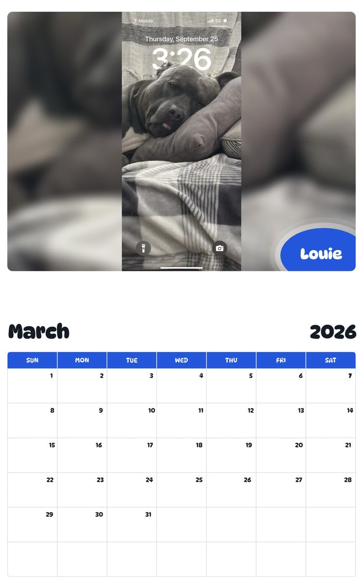 November 2025 - October 2026 Louie - Pawidols Pet Calendar