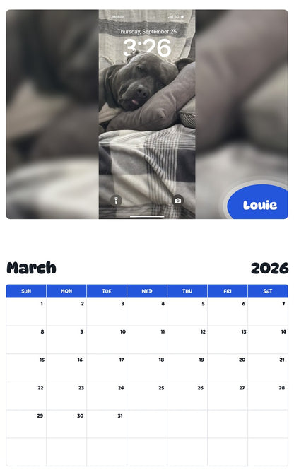 November 2025 - October 2026 Louie - Pawidols Pet Calendar