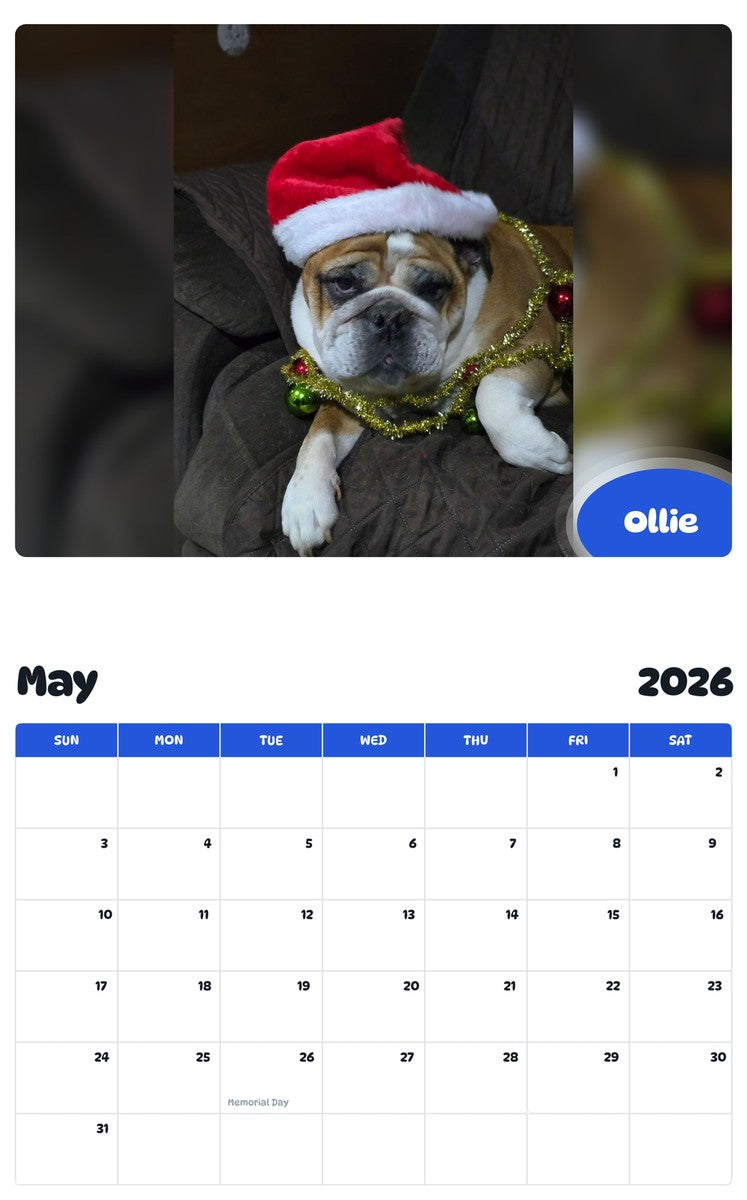2026 - 2027 Ollie - Pawidols Pet Calendar