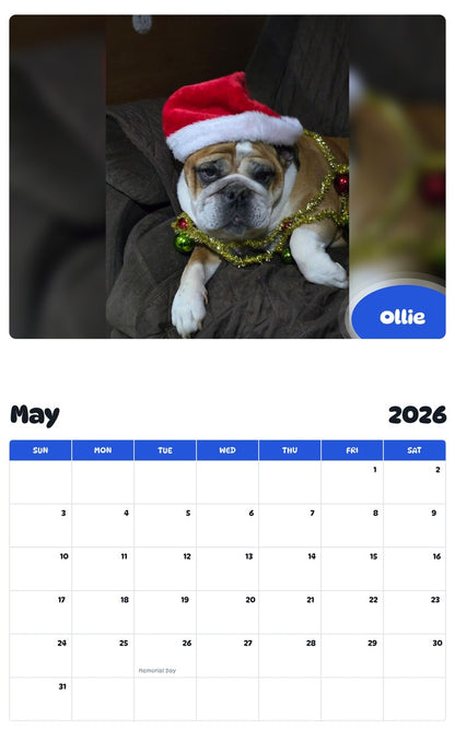 2026 - 2027 Ollie - Pawidols Pet Calendar