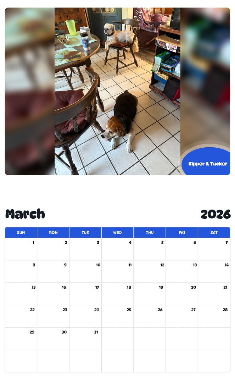 November 2025 - October 2026 Kipper & Tucker - Pawidols Pet Calendar