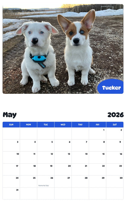 2026 - 2027 Tucker - Pawidols Pet Calendar