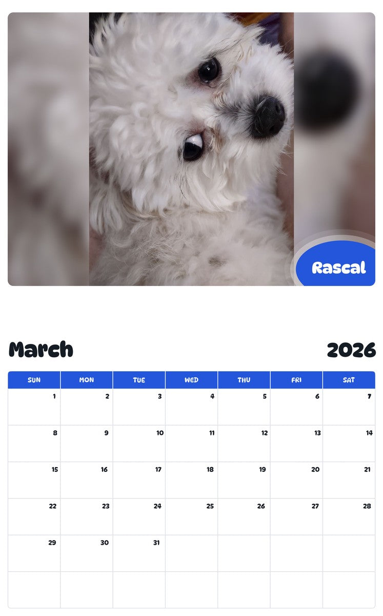 November 2025 - October 2026 Rascal - Pawidols Pet Calendar