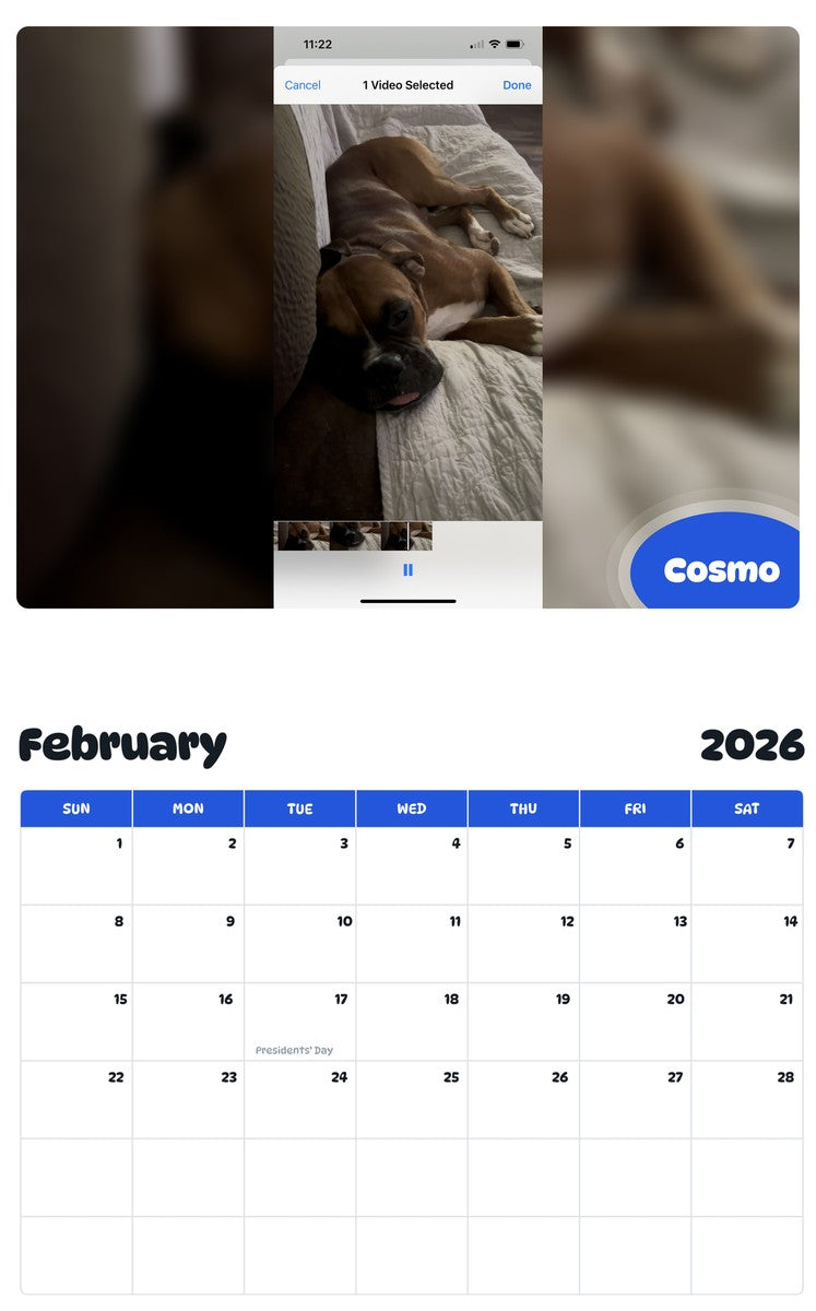 October 2025 - September 2026 Cosmo - Pawidols Pet Calendar