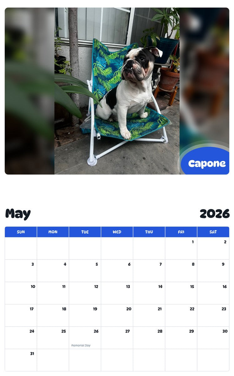 2026 - 2027 Capone - Pawidols Pet Calendar