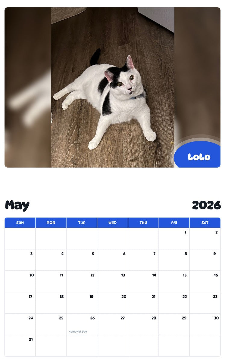 2026 - 2027 LoLo - Pawidols Pet Calendar