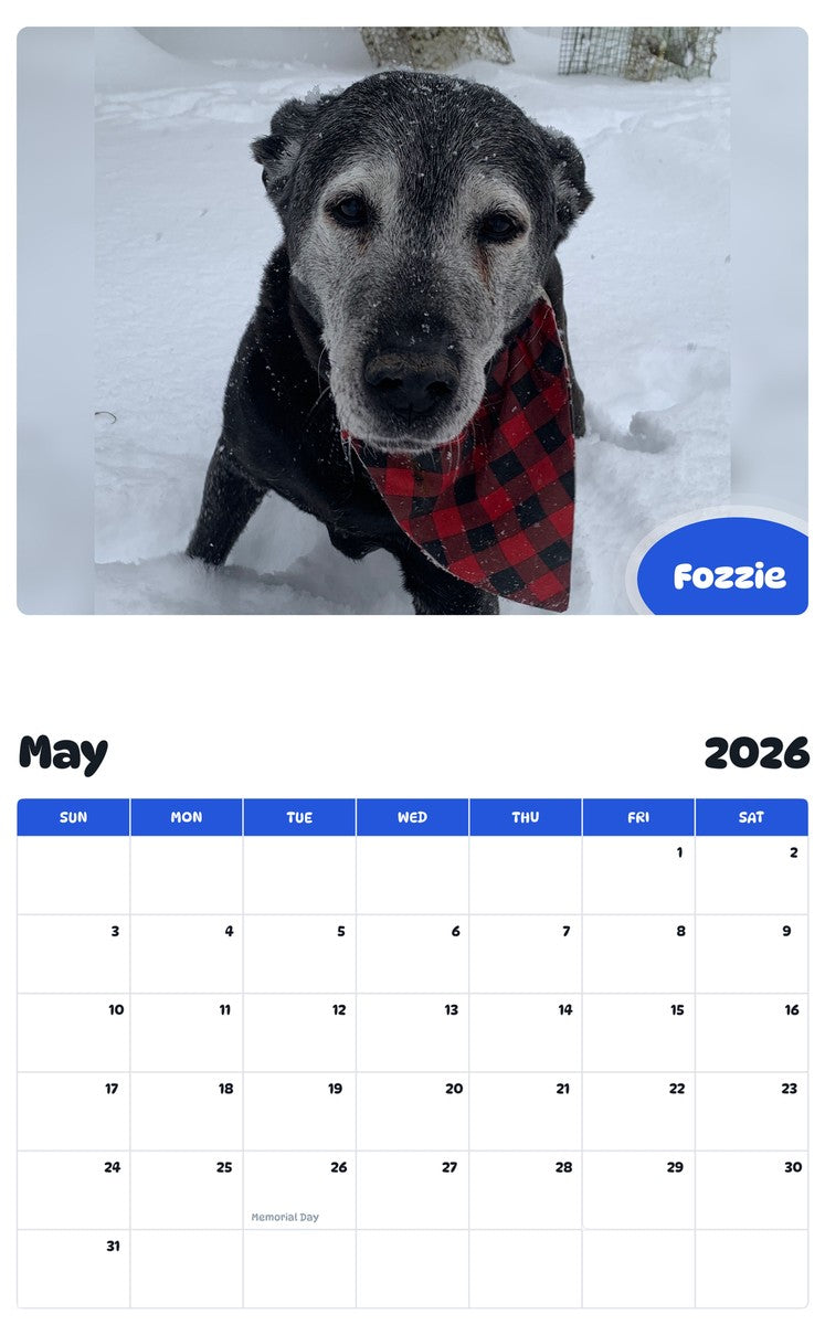 2026 - 2027 Fozzie - Pawidols Pet Calendar
