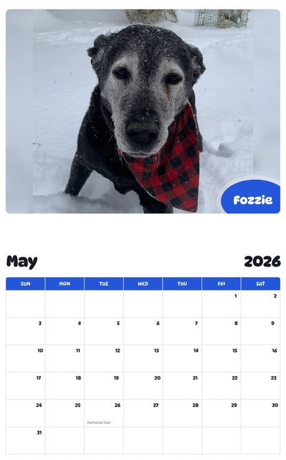 2026 - 2027 Fozzie - Pawidols Pet Calendar