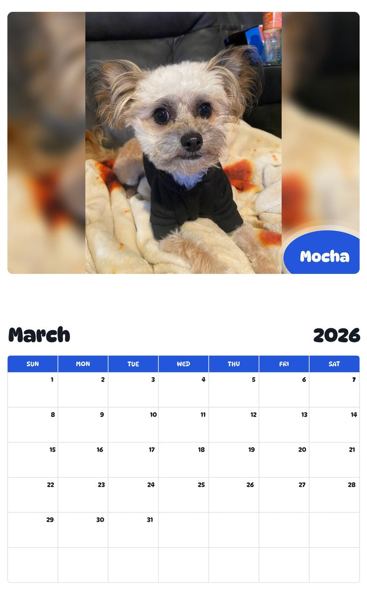 November 2025 - October 2026 Mocha - Pawidols Pet Calendar