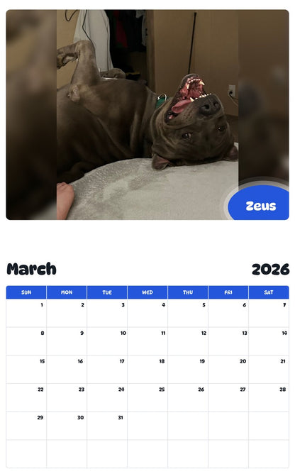 November 2025 - October 2026 Zeus - Pawidols Pet Calendar