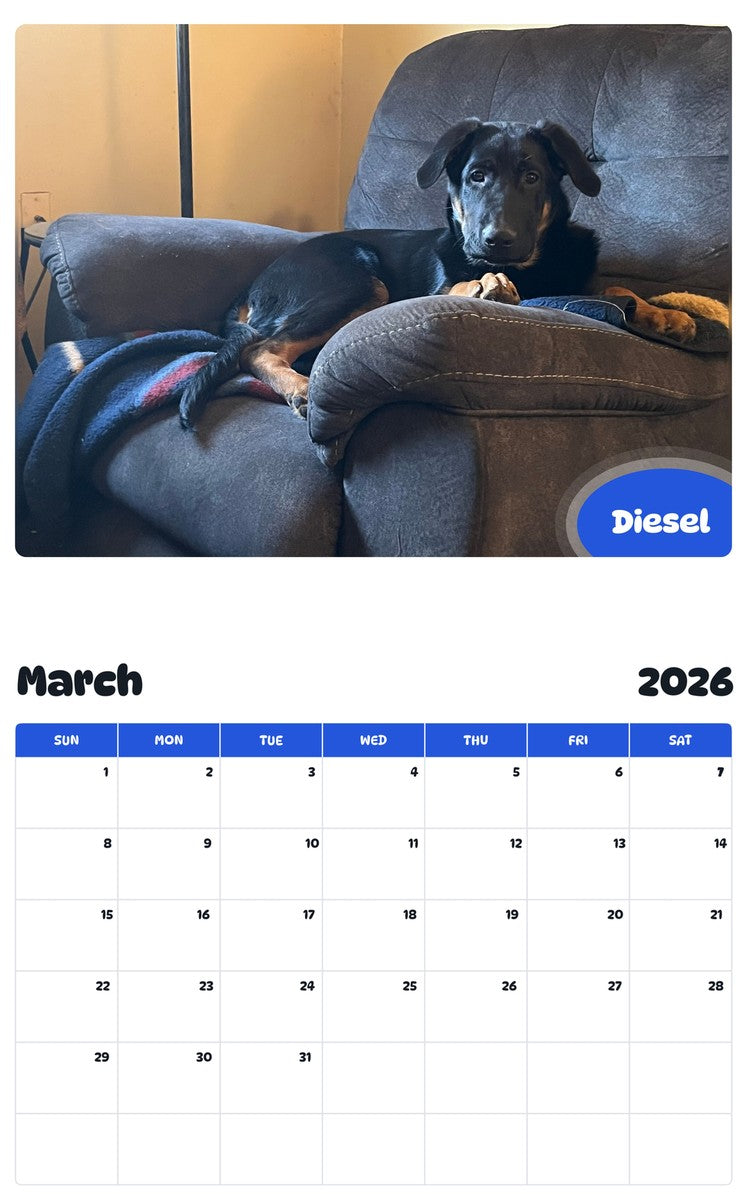 November 2025 - October 2026 Diesel - Pawidols Pet Calendar