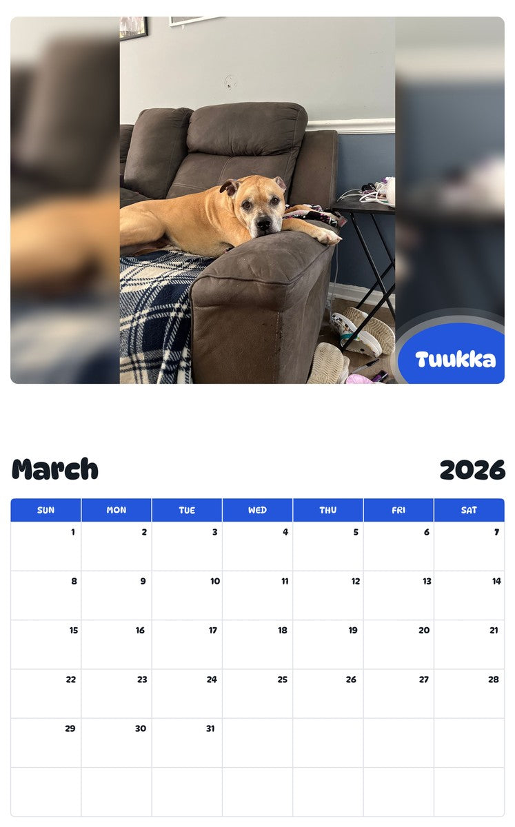 November 2025 - October 2026 Tuukka - Pawidols Pet Calendar